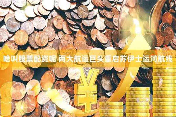 啥叫股票配资呢 两大航运巨头重启苏伊士运河航线